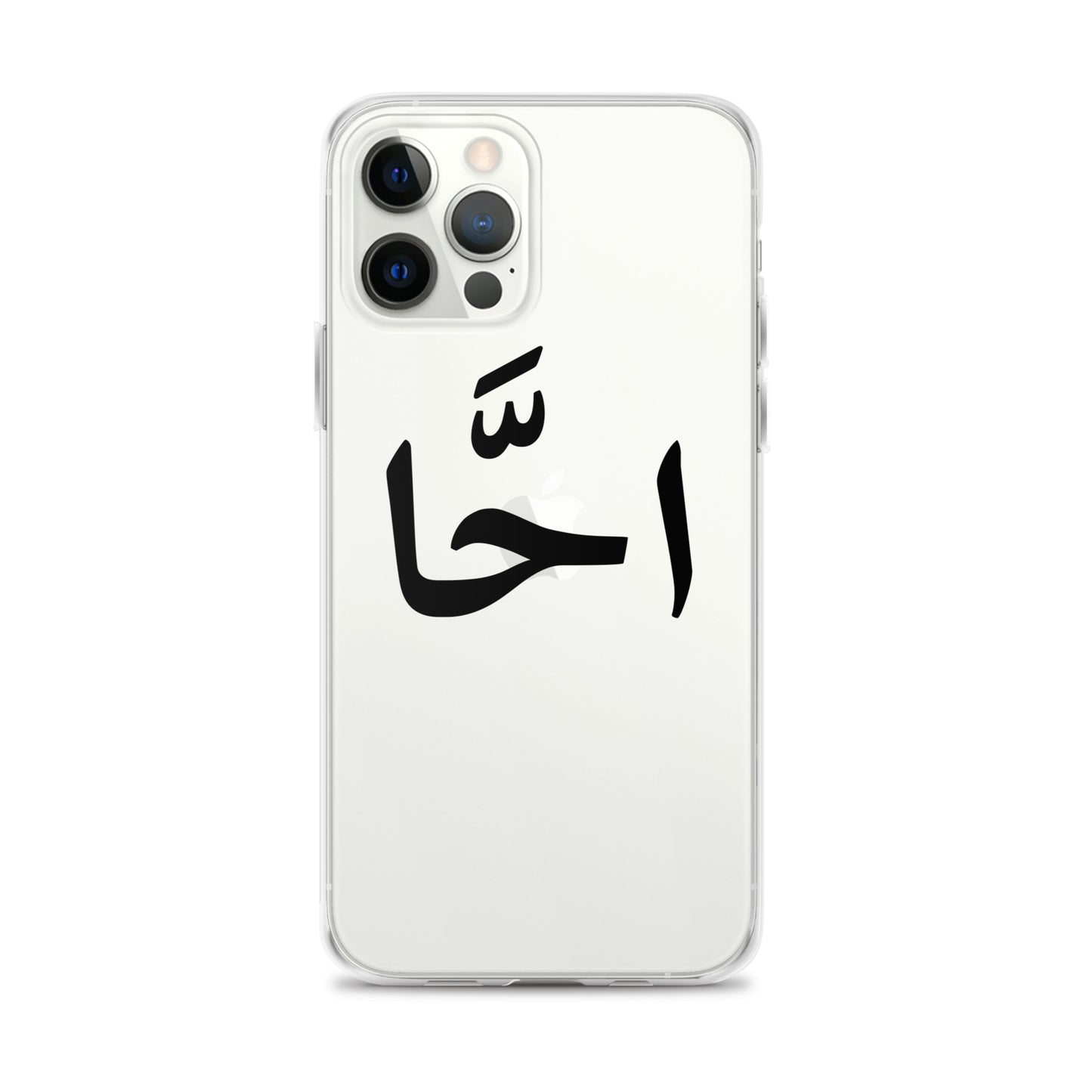 EGYPTIAN SLANG IPHONE CASE