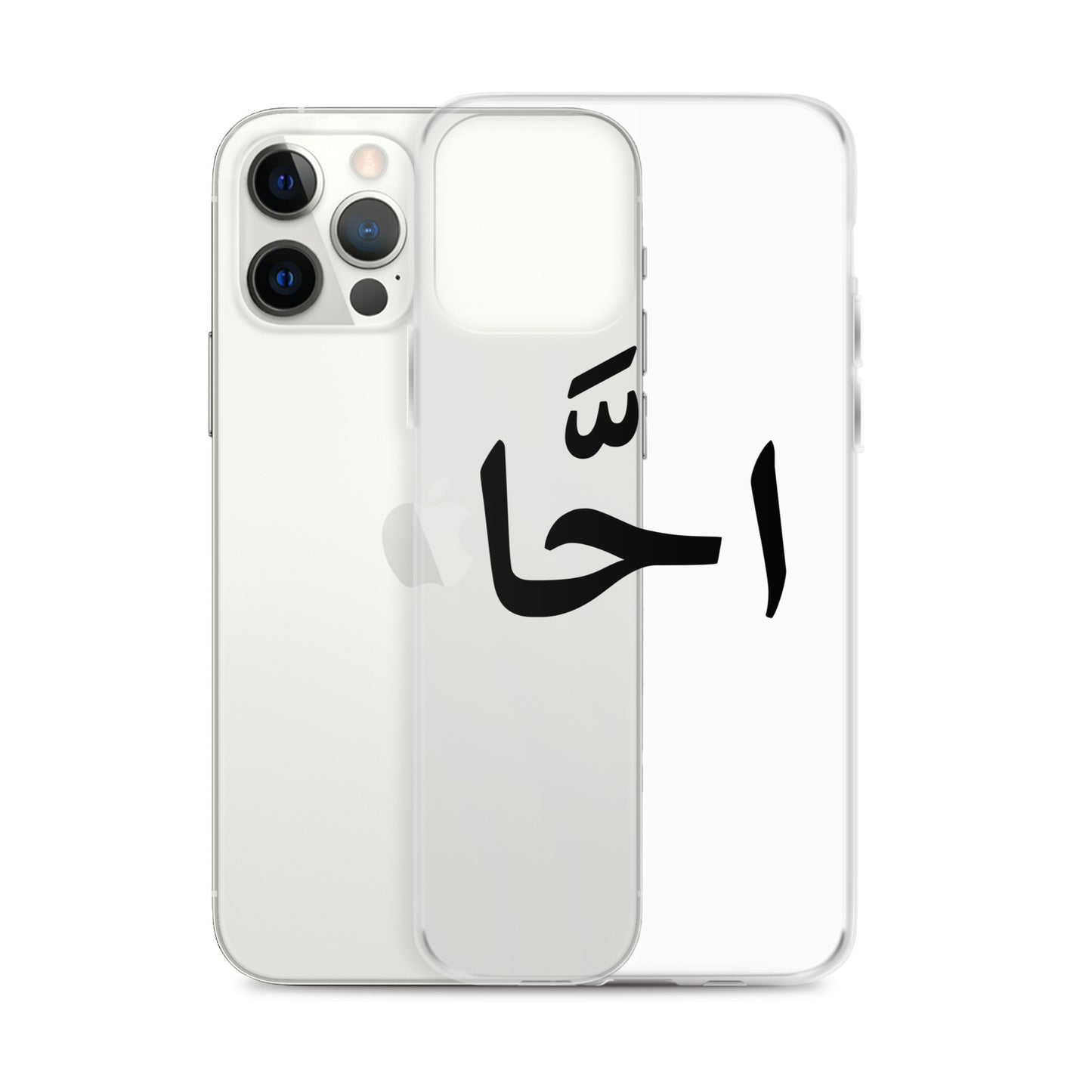 EGYPTIAN SLANG IPHONE CASE