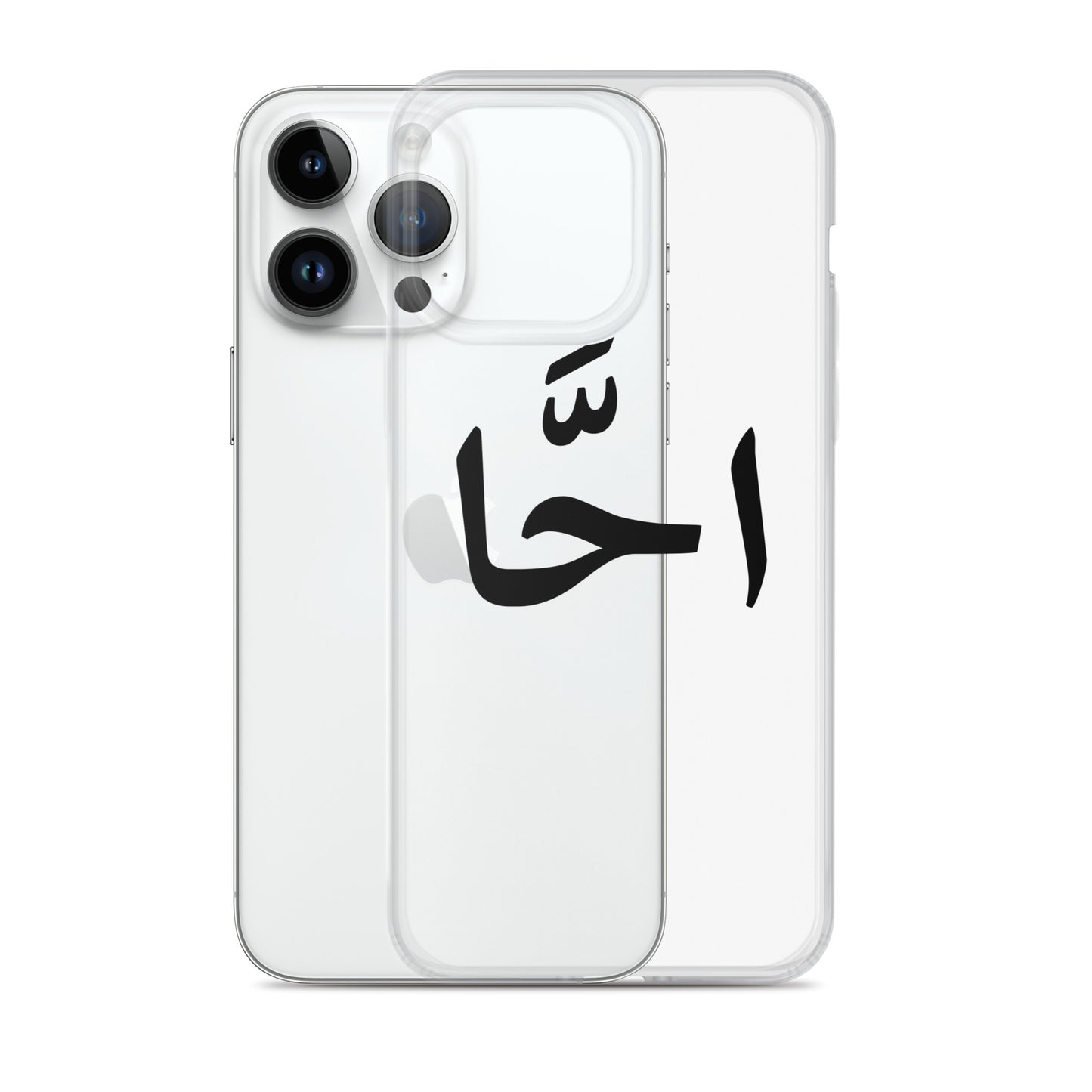 EGYPTIAN SLANG IPHONE CASE